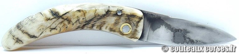 couteau corse curnicciolu Padovani u6 couteau-corse-curnicciolu-padovani-MNVD987-6