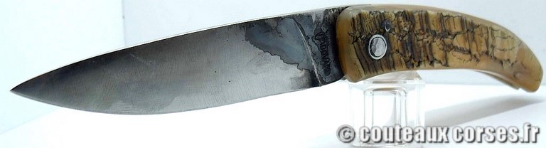couteau corse manche olivier et lame acier carbone couteau-corse-curnicciolu-padovani-MNVD987-1