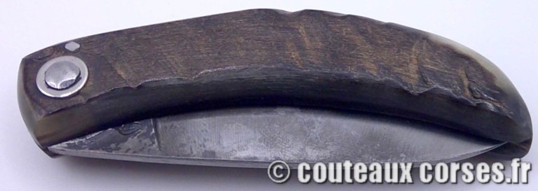 couteau corse curnicciolu Padovani u3 FGDEPM457-curnicciolu-padovani-1