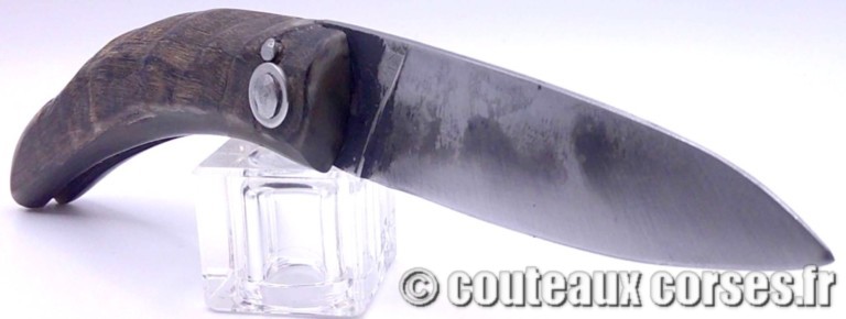 couteau corse curnicciolu Padovani u1 FGDEPM457-curnicciolu-padovani-10