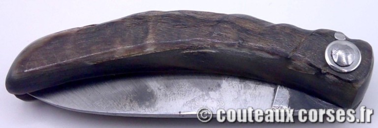 couteau corse curnicciolu Padovani u1 FGDEPM457-curnicciolu-padovani-2