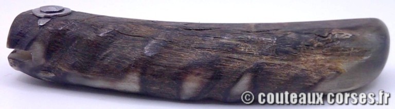 couteau corse curnicciolu Padovani u3 FGDEPM457-curnicciolu-padovani-3