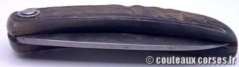 couteau corse curnicciolu Padovani u3 FGDEPM457-curnicciolu-padovani-4