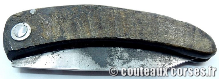 couteau corse curnicciolu Padovani u1 couteau-corse-curnicciolu-padovani-ZMKR854-91