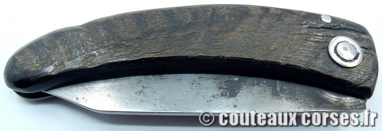 couteau corse curnicciolu Padovani u7 couteau-corse-curnicciolu-padovani-ZMKR854-8
