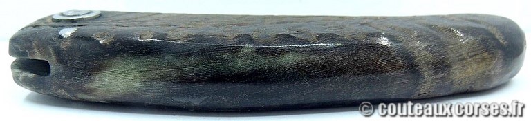 couteau corse curnicciolu Padovani u4 couteau-corse-curnicciolu-padovani-ZMKR854-4