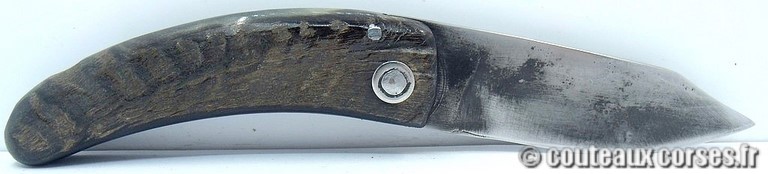 couteau corse curnicciolu Padovani u6 couteau-corse-curnicciolu-padovani-ZMKR854-6