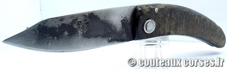 couteau corse curnicciolu Padovani u1 couteau-corse-curnicciolu-padovani-ZMKR854-1