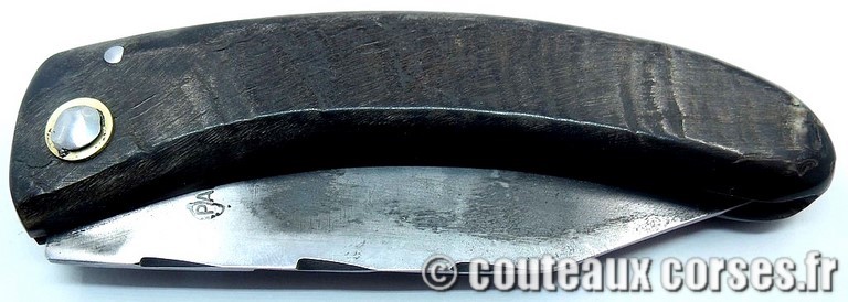 couteau corse curnicciolu Padovani u1 couteau-corse-curnicciolu-padovani-CVYU816-91