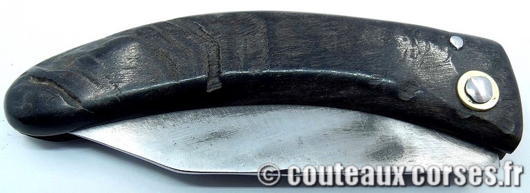 couteau corse curnicciolu Padovani u7 couteau-corse-curnicciolu-padovani-CVYU816-8