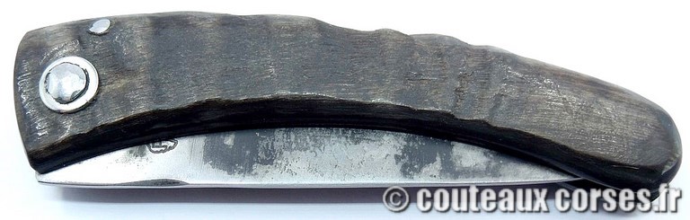 couteau corse curnicciolu Padovani u1 couteau-corse-curnicciolu-padovani-SDPN024-91
