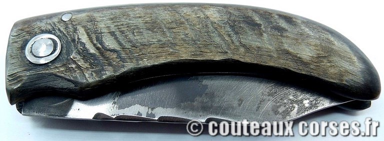 couteau corse curnicciolu Padovani u3 couteau-corse-curnicciolu-padovani-ERTA852-91