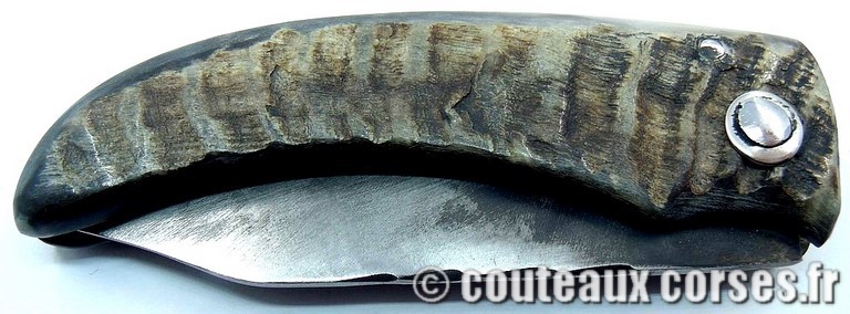 couteau corse curnicciolu Padovani u3 couteau-corse-curnicciolu-padovani-ERTA852-8