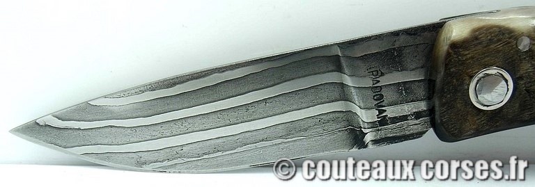 couteau corse curnicciolu damas et corne de belier manu padovani c3 Couteaux-Corses-Padovani-CDCB-24.c11.jpg