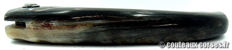 couteau corse manche corne de belier et acier damas Couteaux-Corses-Padovani-CDCB-24.c3.jpg