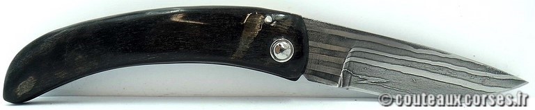 couteau corse curnicciolu damas et corne de belier Couteaux-Corses-Padovani-CDCB-24.c6.jpg