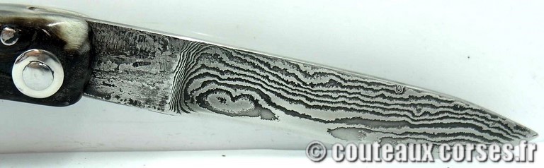 couteau corse curnicciolu damas et corne de belier d10 Couteaux-Corses-Padovani-CDCB-25.d99.jpg