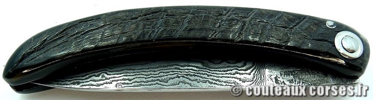couteau corse veritable curnicciolu c5 Couteaux-Corses-Padovani-CDCB-25.d2.jpg