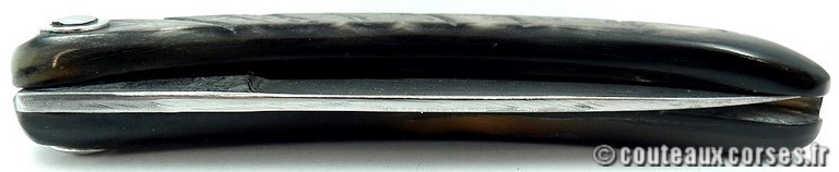 couteau corse damas curnichjolu manche corne de bélier d4 Couteaux-Corses-Padovani-CDCB-25.d3.jpg