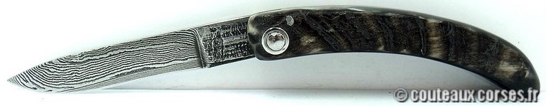 couteau corse curnicciolu damas et corne de belier c2 Couteaux-Corses-Padovani-CDCB-25.d5.jpg