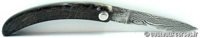 couteau corse curnicciolu damas et corne de belier d11 Couteaux-Corses-Padovani-CDCB-25.d6.jpg