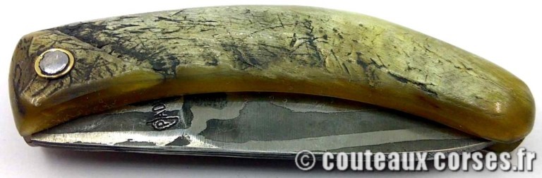 curnicciolu-damas-et-corne-de-chèvre-OKRMS999-padovani-3