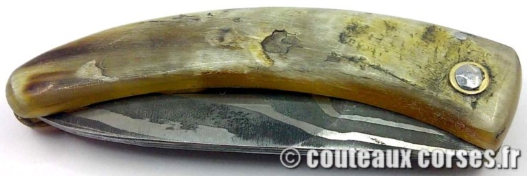 curnicciolu-damas-et-corne-de-belier-GFDST822-padovani-12