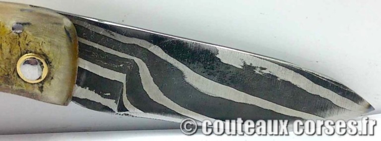 curnicciolu-damas-et-corne-de-belier-GFDST822-padovani-11