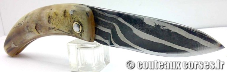 curnicciolu-damas-et-corne-de-belier-GFRTZ994-padovani-GFDST822