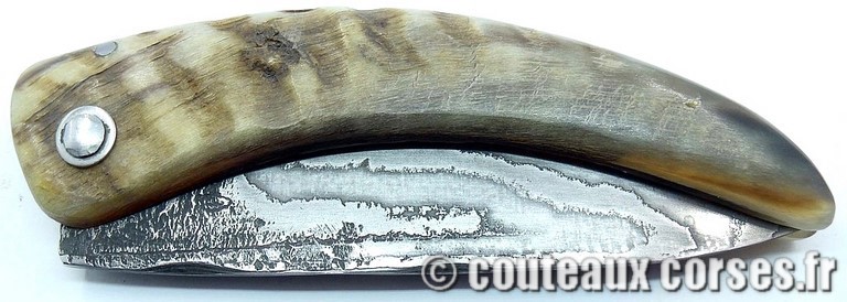 curnicciolu-damas-et-corne-de-belier-KNBR807-padovani-3