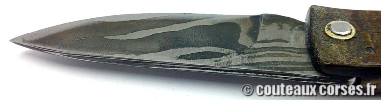 curnicciolu-damas-et-corne-de-belier-KNBR807-padovani-110