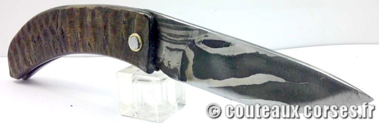 couteau corse curnicciolu damas et corne de belier curnicciolu-damas-et-corne-de-belier-KNBR807-padovani-11