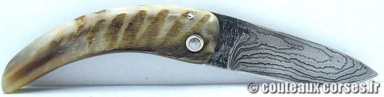 couteau corse curnicciolu damas et corne de belier curnicciolu-damas-et-corne-de-belier-KNBR807-padovani-18