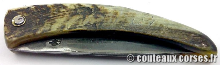 curnicciolu-damas-et-corne-de-belier-CVDSF799-padovani-3