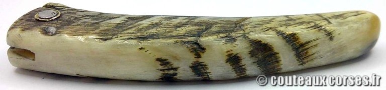curnicciolu-damas-et-corne-de-belier-CVDSF799-padovani-2