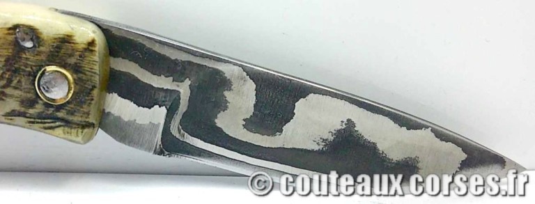 curnicciolu-damas-et-corne-de-belier-CVDSF799-padovani-11