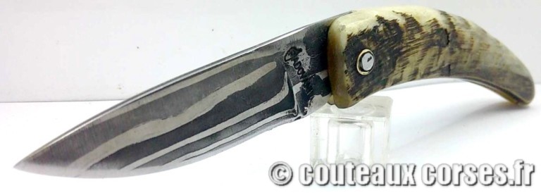 couteau corse curnicciolu damas et corne de belier curnicciolu-damas-et-corne-de-belier-CVDF201-padovani-198