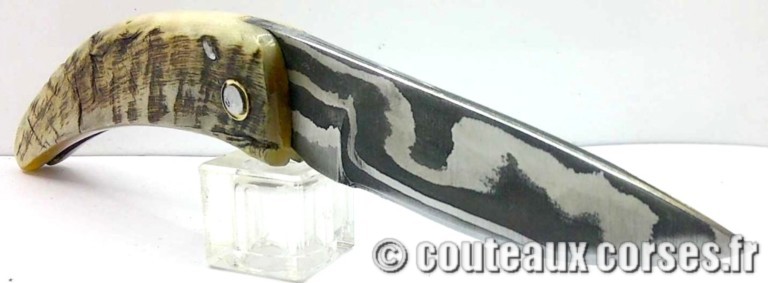 curnicciolu-damas-et-corne-de-belier-CVDF201-padovani-11