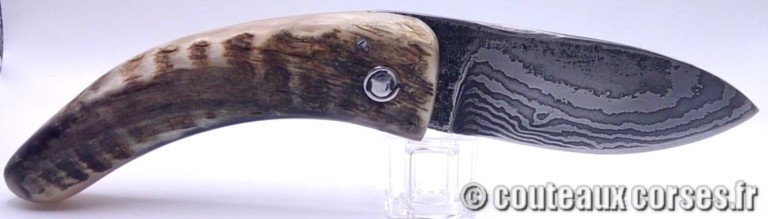 curnicciolu-damas-et-corne-de-belier-CVDF201-padovani-18
