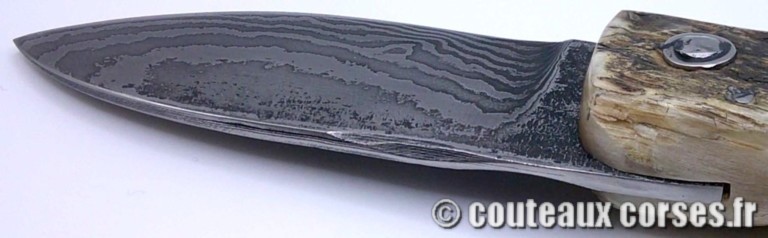 Curnicciolu corne de belier et damas king size M Padovani curnicciolu-damas-et-corne-de-belier-CVDF201-padovani-189