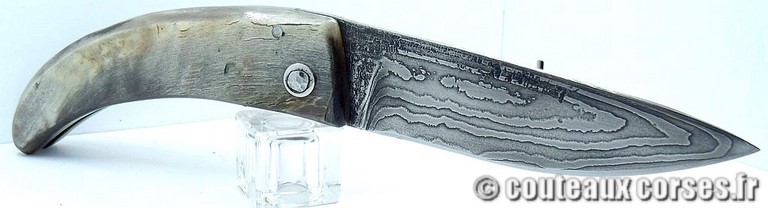 curnicciolu-damas-et-corne-de-belier-_HNBVC843-padovani-1128