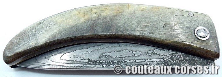 curnicciolu-damas-et-corne-de-belier-_HNBVC843-padovani-12