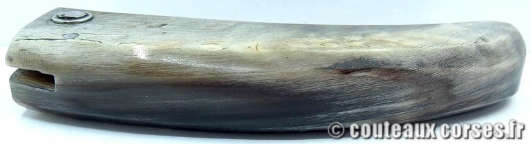 curnicciolu-damas-et-corne-de-belier-_HNBVC843-padovani-12