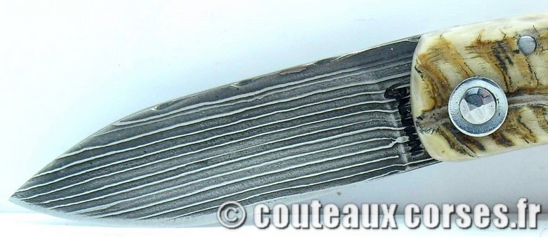 couteau corse curnicciolu damas et corne de belier curnicciolu-damas-et-corne-de-belier-DFSZ3201-padovani-18