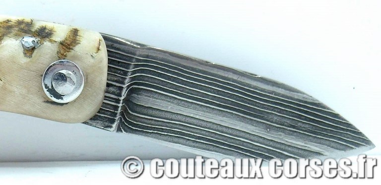 couteau corse curnicciolu damas et corne de belier curnicciolu-damas-et-corne-de-belier-DFSZ3201-padovani-i11