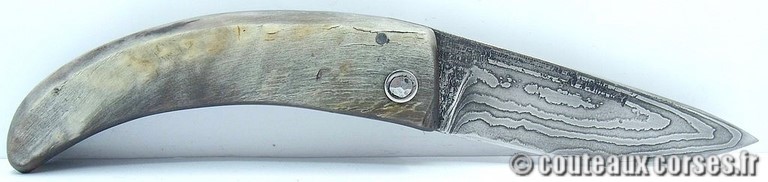 couteau corse curnicciolu damas et corne de belier curnicciolu-damas-et-corne-de-belier-_HNBVC843-padovani-18