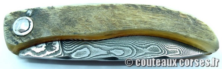 curnicciolu-damas-et-corne-de-belier-BRDLKM593-padovani-3