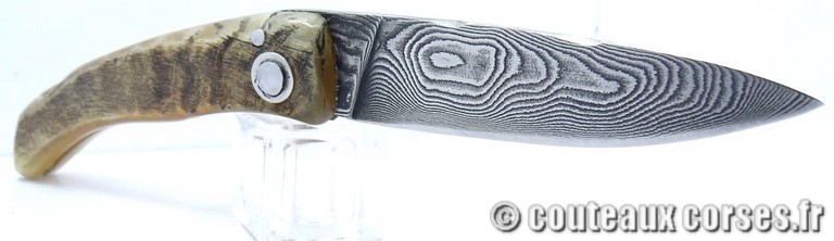 curnicciolu-damas-et-corne-de-belier-BRDLKM593-padovani-1128