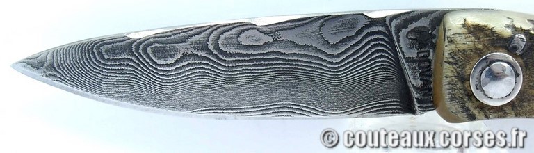 couteau corse curnicciolu damas et corne de belier curnicciolu-damas-et-corne-de-belier-BRDLKM593-padovani-198