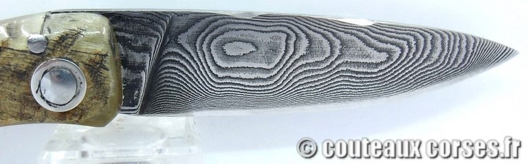 curnicciolu-damas-et-corne-de-belier-BRDLKM593-padovani-11